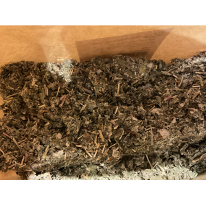 Feuilles de framboisiers bio