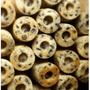 Financier aux pépites de chocolat