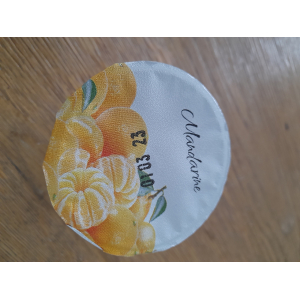 Lot de 2. yaourt aux fruits à la mandarine