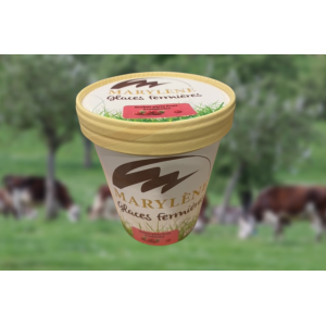 Sorbet framboise 'plein fruit'