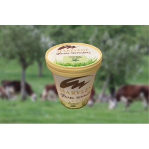 Crème glacée menthe pépites de chocolat