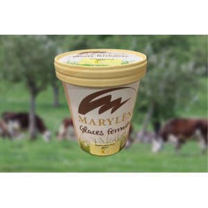 Sorbet poire 'plein fruit'