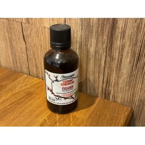 Gemmothérapie figuier