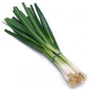 Cebette avec 1 aillet.