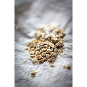 Variété rouge : saint pierre