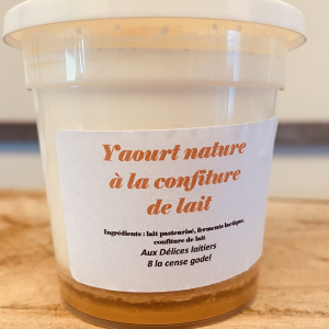 Yaourt à la confiture de lait
