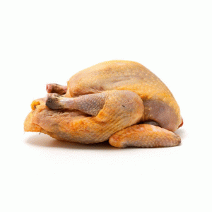 Pintade  découpée ( 2 supremes  2 cuisses).