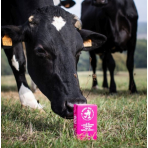 Lait uht demi-écrémé, la brique rose