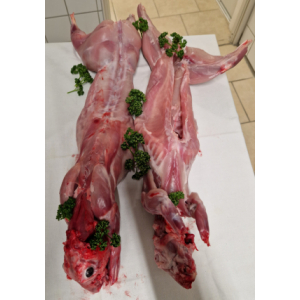 Gros lapin entier