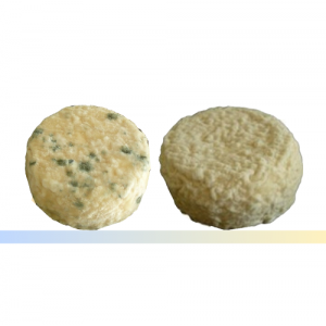 Spécial : duo de ronds