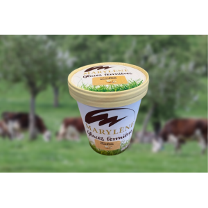 Crème glacée rhum/raisin