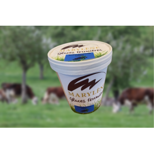 Sorbet cassis 'plein fruit'