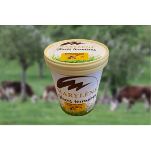 Sorbet mangue/passion 'plein fruit'