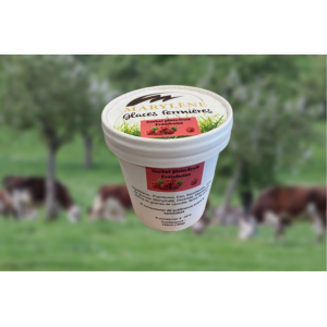 Sorbet framboise 'plein fruit' petit pot
