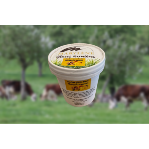 Sorbet mangue/passion 'plein fruit' petit pot