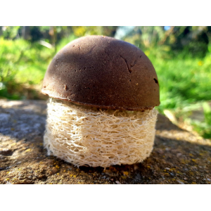 Shampoing solide végétal cheveux secs, abimés