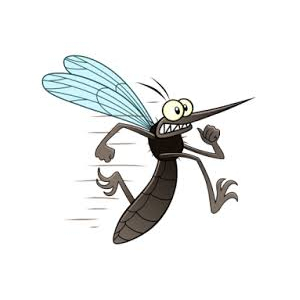 Parfum 'ecoeur moustique et autres insectes'