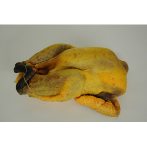 Pintade fermière prêt à cuire 1.8 kg