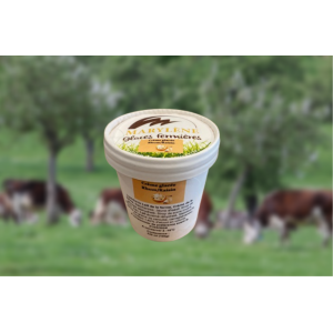 Crème glacée rhum/raisin petit pot