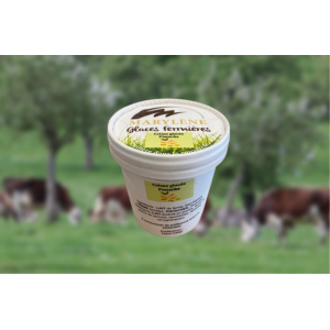 Crème glacée pistaches petit pot