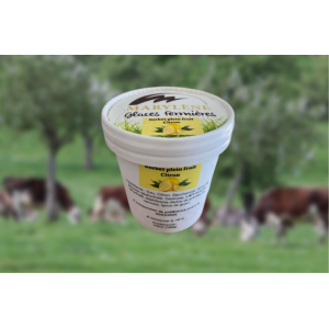 Sorbet citron 'plein fruit' petit pot