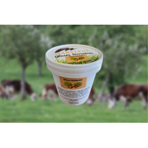 Glace noisette petit pot