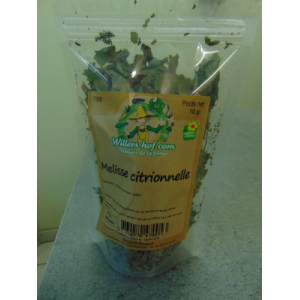Mélisse citronnelle