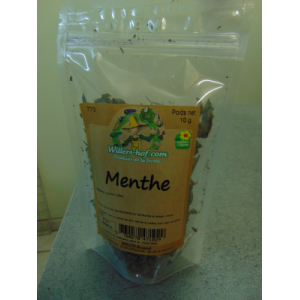Menthe