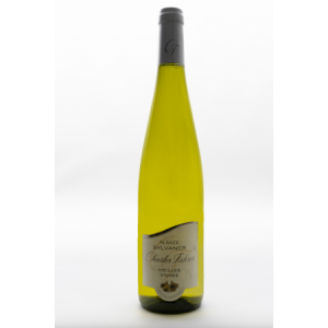 Sylvaner vieille vigne 2023