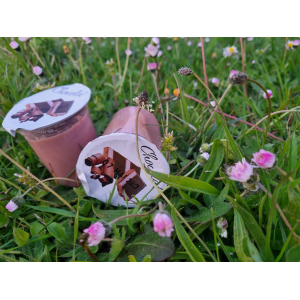 Crème dessert chocolat