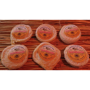 St marcellin au lait cru