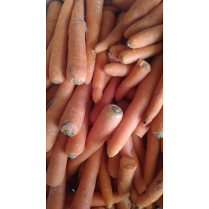 Carotte orange vrac