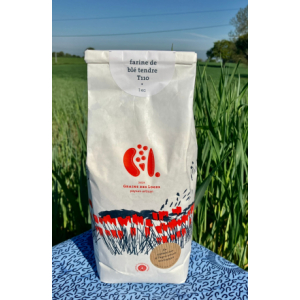 Farine de blé tendre t110 - 1kg