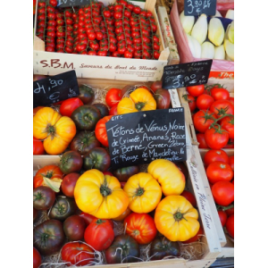 Plant de tomate ananas