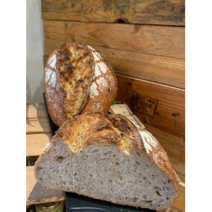 Le méteil plein champs (variété ancienne)