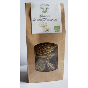 Graines de carottes sauvage