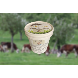 Crème glacée stracciatella petit pot