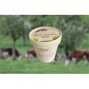 Crème glacée fleur de lait petit pot