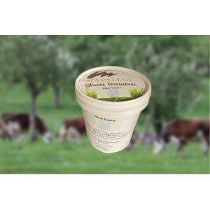 Glace yaourt petit pot