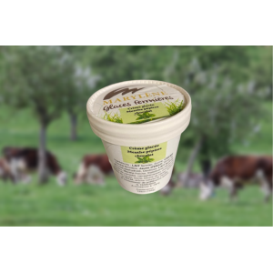 Crème glacée menthe pépites de chocolat petit