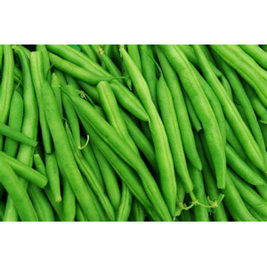 Haricots vert