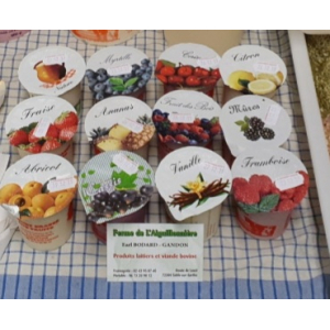 Lot de 4 yaourts aux fruits jaunes