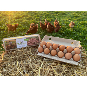 Oeufs extra frais plein air x12