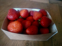 Fraises bio