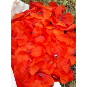 Sirop de coquelicot