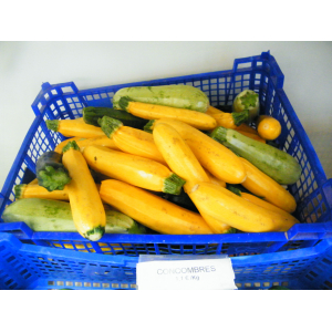 Mini-courgettes