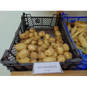 Pomme de terre nouvelles