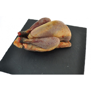 Pintade de ferme 1.6 à 1.8 kg