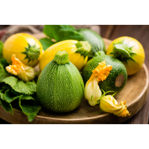 Courgette ronde mélange jaune/verte