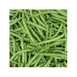Haricot vert